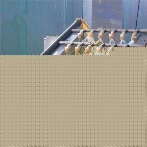 洋槐花市场综述 价格、品牌厂家与预包装食品批发指南