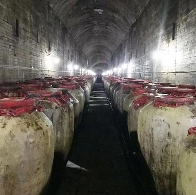 文艺精品讴歌时代 遵义市红花岗区作家协会以酒业进出口为笔