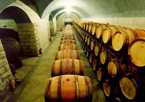 百年红酒首席与全球战略 20余座酿酒厂的扩张之道